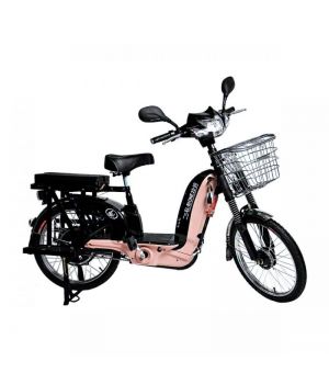Велосипед со вспомогательным электродвигателем EL-BI ONE 22-20